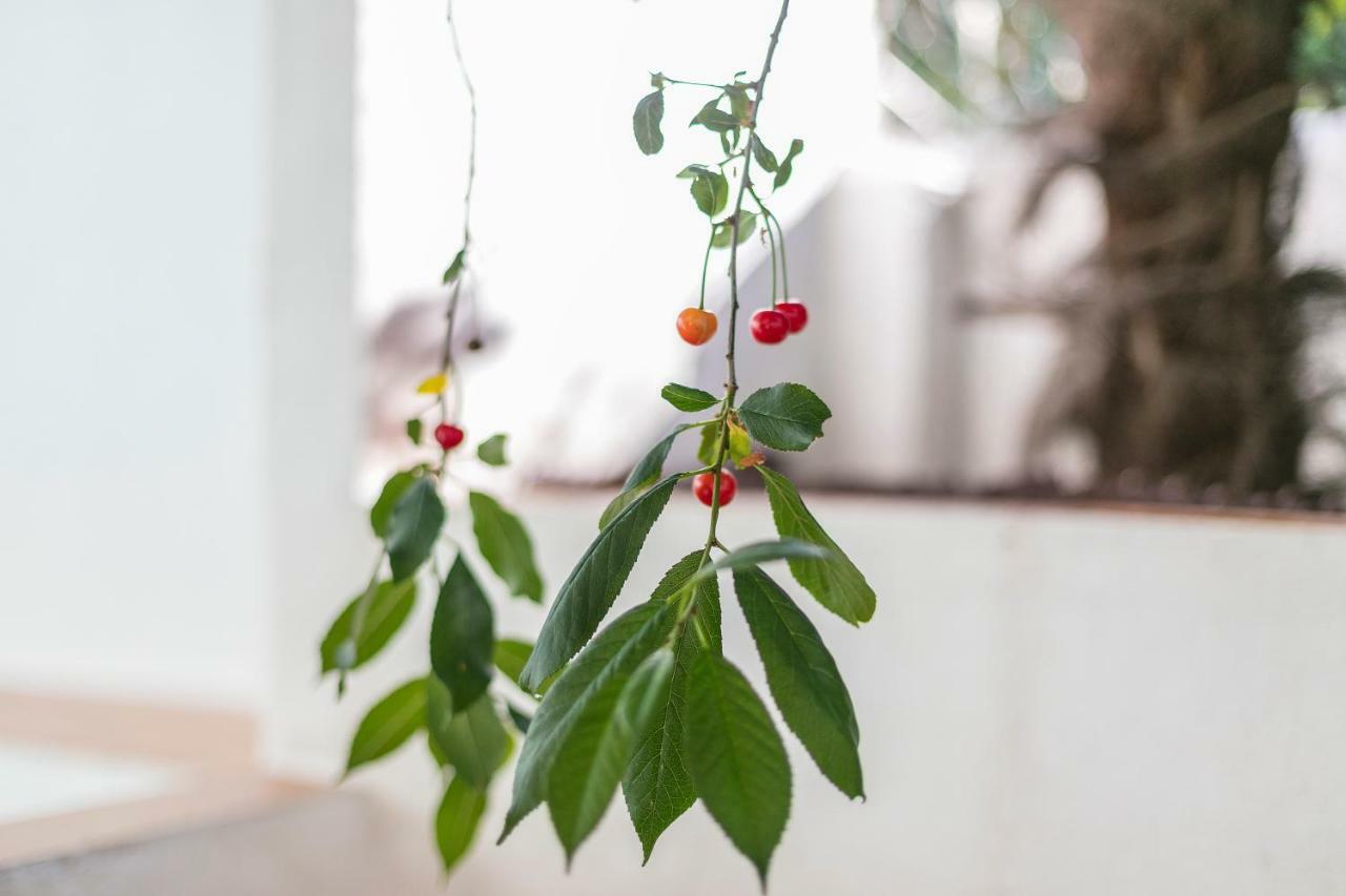 Fragrant Garden Apartment Lisbon Bagian luar foto