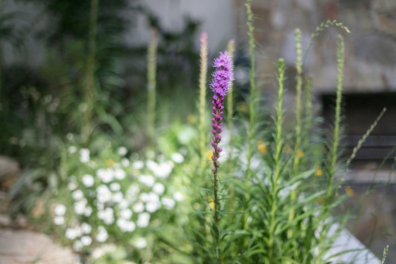 Fragrant Garden Apartment Lisbon Bagian luar foto